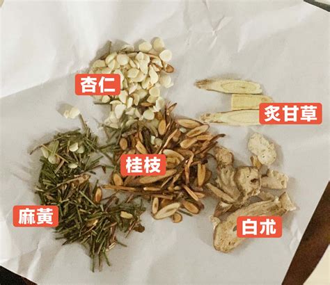 麻黃加朮湯|醫砭 » 常用方劑 » 麻黃湯